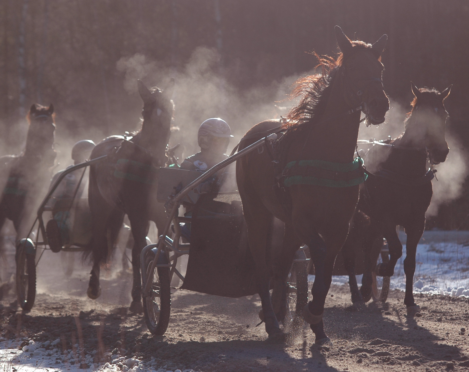 Lugn träning är det som gäller för stallets hästar just nu. Foto; A.Lindblom/Travkompaniet